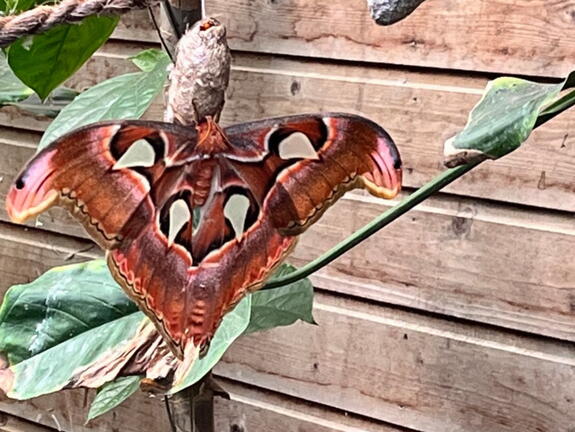 23-09-09 11-02-42 6505